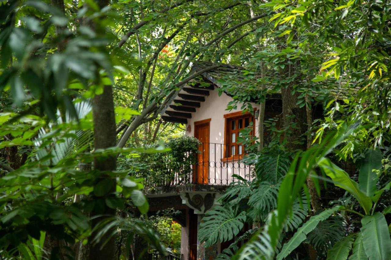 Hotel La Casa De Los Arboles Immersive Experience Zacualpan de Amilpas Exterior foto